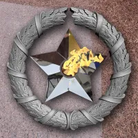 Венок вечный огонь чугун звезда нержавеющая сталь в Гвардейском (518577)