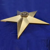 Звезда вечный огонь (1628) поставка комплект горелка ГВД 379 10 89 00 ПС ø 1100 мм. пустотелая  в Гвардейском